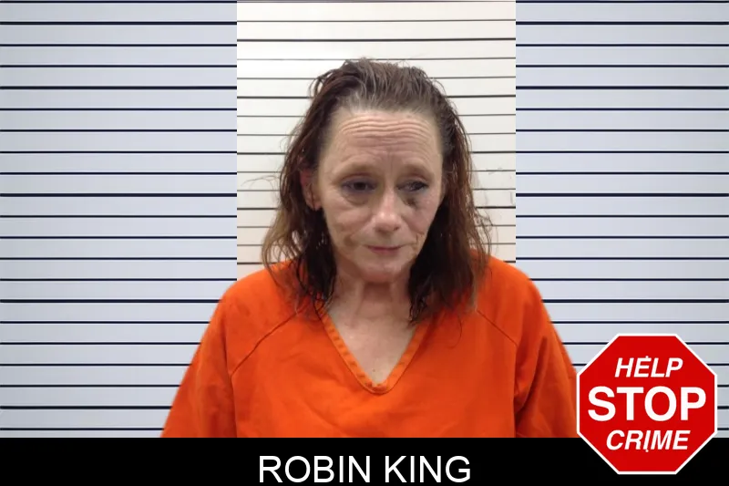Robin King mugshot