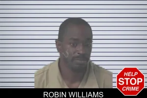 Robin Williams mugshot