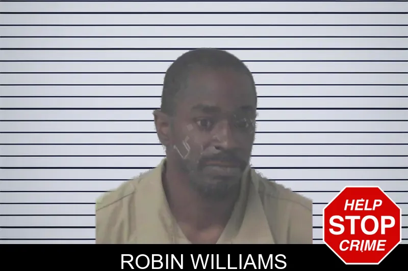 Robin Williams mugshot