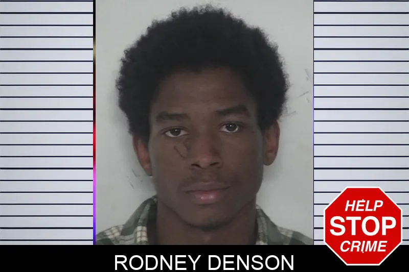Rodney Denson mugshot – Fayette County , Georgia Rodney Denson mugshot