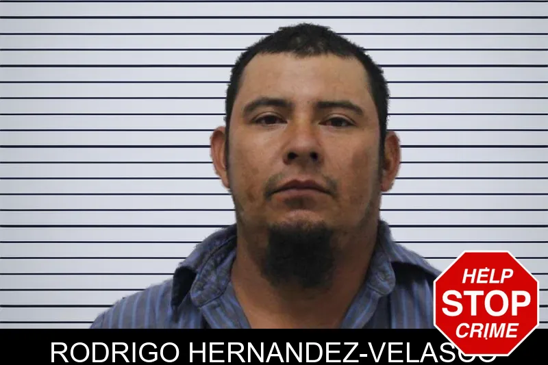 Rodrigo Hernandez-Velasco mugshot