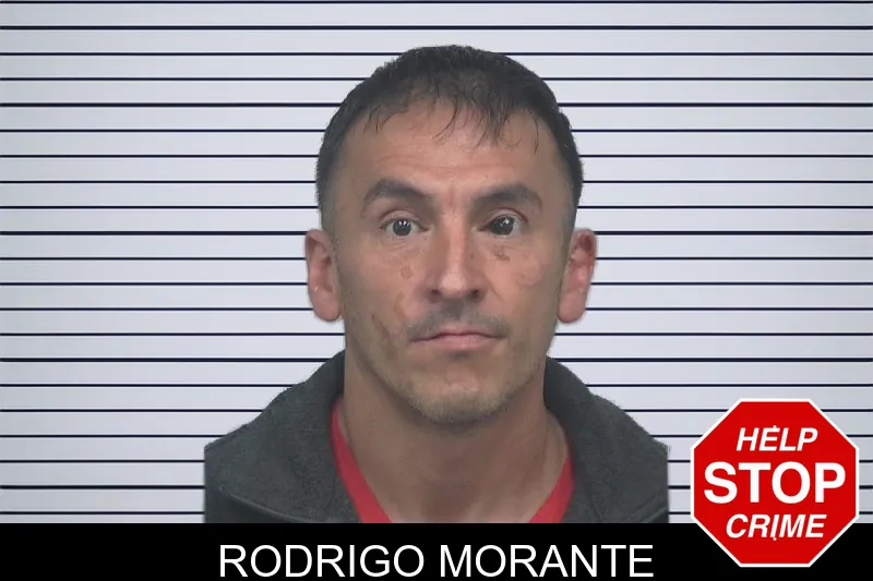 Rodrigo Morante mugshot