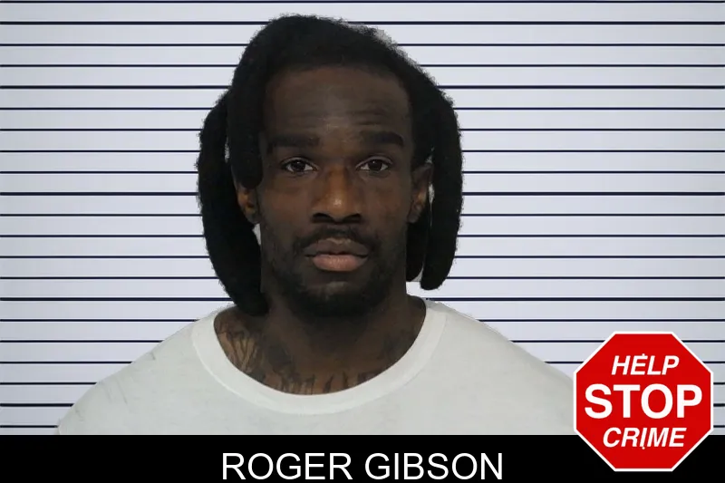 Roger Gibson mugshot