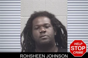 Rohsheen Johnson mugshot