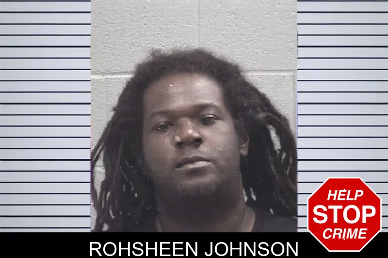 Rohsheen Johnson mugshot
