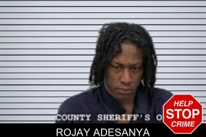 Rojay Adesanya mugshot