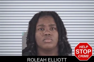 Roleah Elliott mugshot