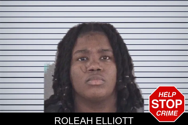 Roleah Elliott mugshot – Spalding County , Georgia Roleah Elliott mugshot