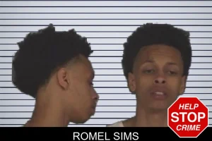 Romel Sims mugshot