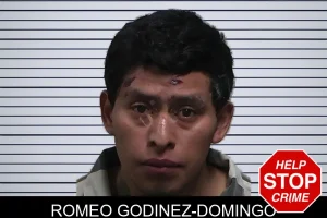 Romeo Godinez-Domingo mugshot