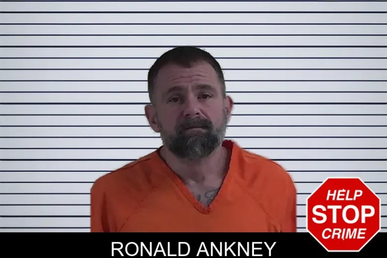 Ronald Ankney mugshot – Fannin County , Georgia Ronald Ankney