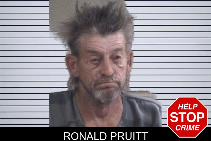 Ronald Pruitt mugshot