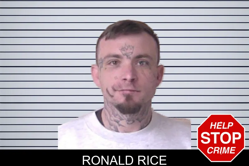 Ronald Rice mugshot