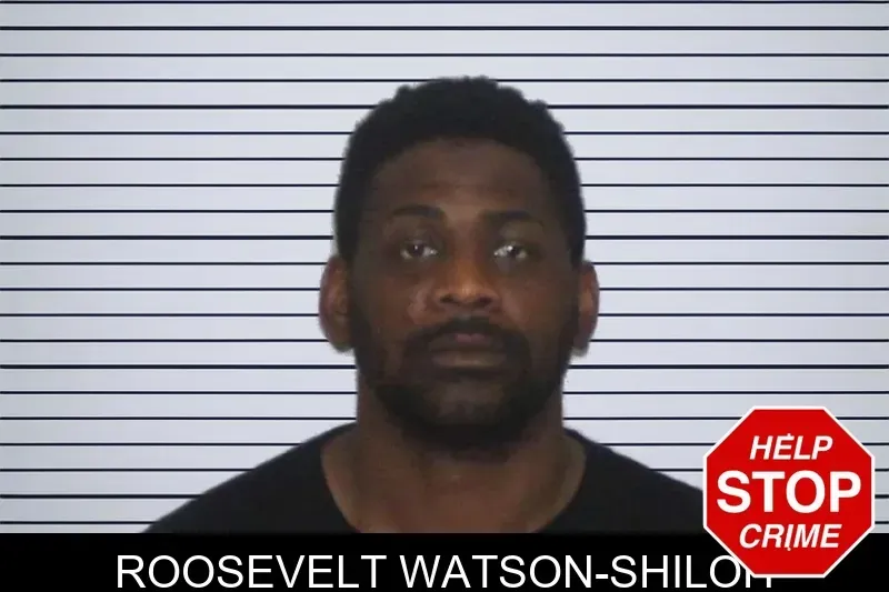 Roosevelt Watson-Shiloh mugshot