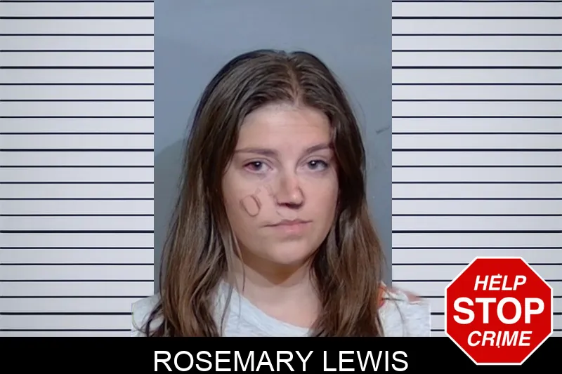 Rosemary Lewis mugshot – Glynn County , Georgia Rosemary Lewis mugshot