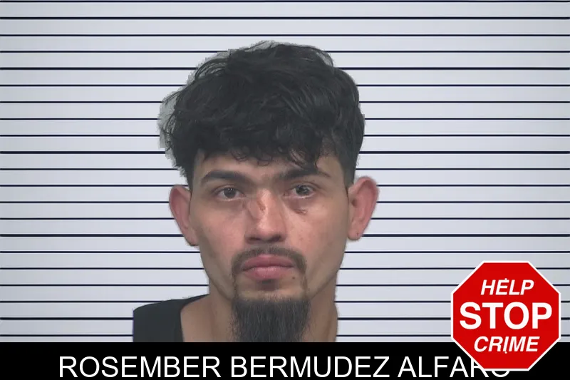 Rosember Bermudez Alfaro mugshot