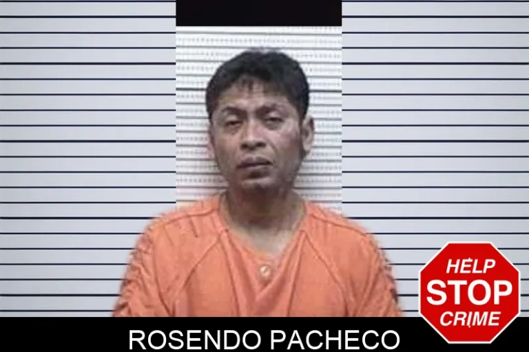 Rosendo Pacheco