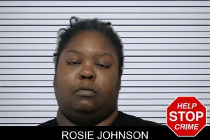 Rosie Johnson mugshot
