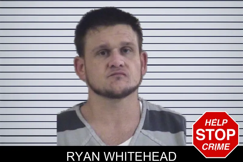 Ryan Whitehead mugshot