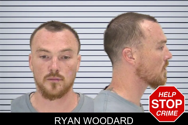 Ryan Woodard mugshot