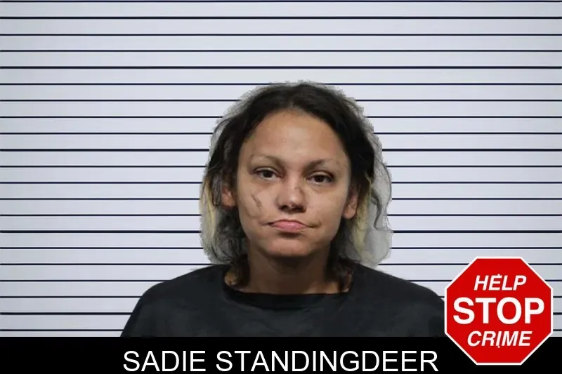 Sadie Standingdeer mugshot
