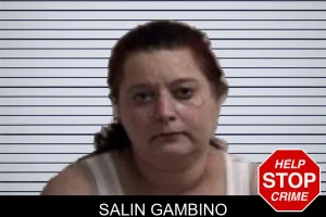 Salin Gambino mugshot