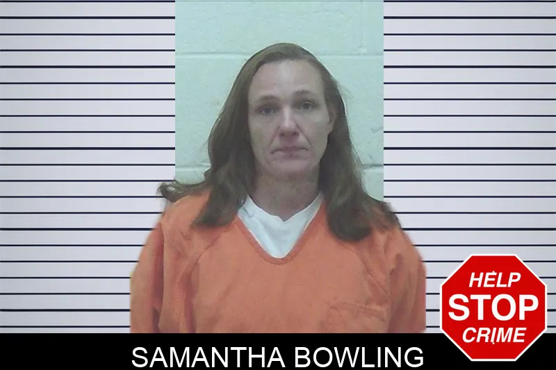 Samantha Bowling mugshot – Worth County , Georgia Samantha Bowling mugshot