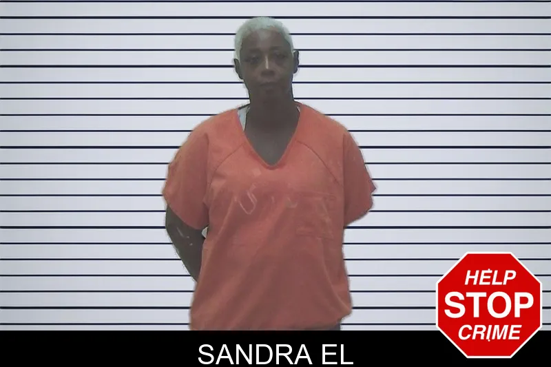 Sandra El mugshot