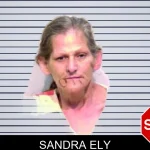 Sandra Ely mugshot