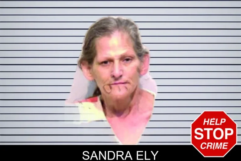 Sandra Ely mugshot – Bartow County , Georgia Sandra Ely