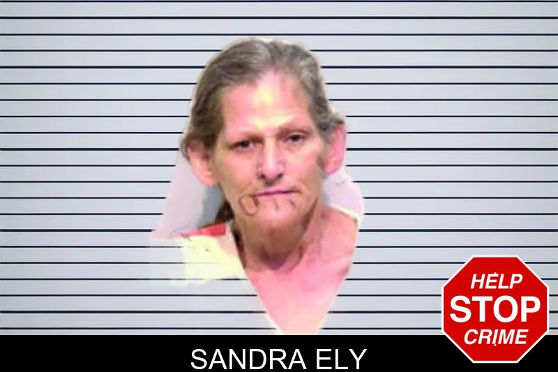 Sandra Ely mugshot – Bartow County , Georgia Sandra Ely mugshot