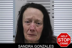 Sandra Gonzales mugshot