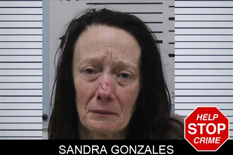 Sandra Gonzales mugshot – Colquitt County , Georgia Sandra Gonzales