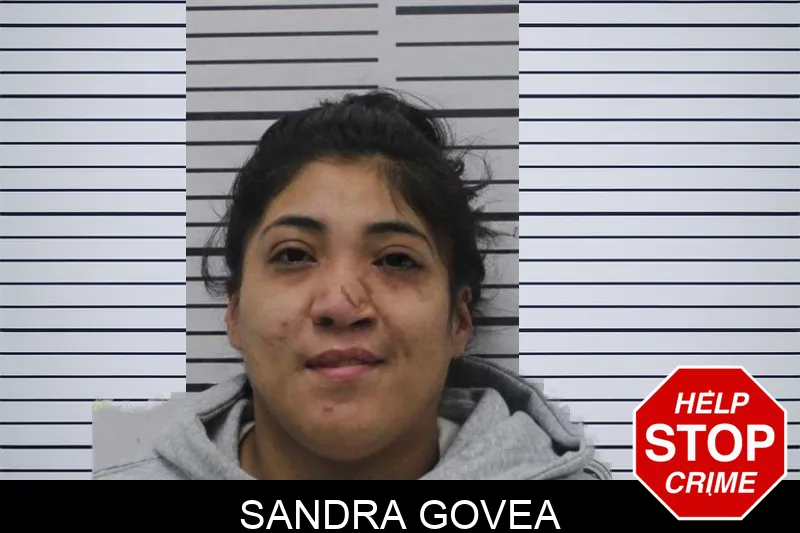 Sandra Govea mugshot