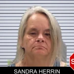 Sandra Herrin mugshot