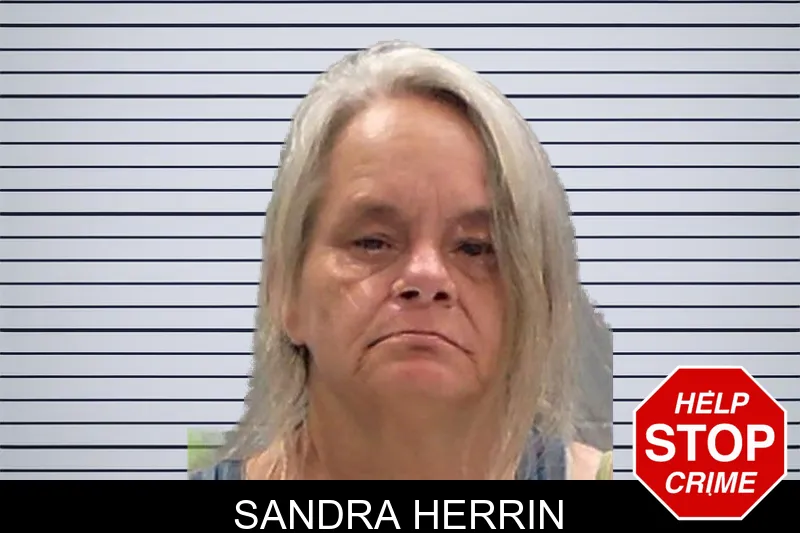 Sandra Herrin mugshot
