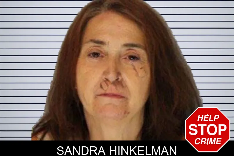 Sandra Hinkelman mugshot