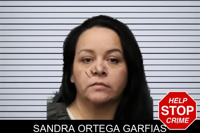 Sandra Ortega Garfias