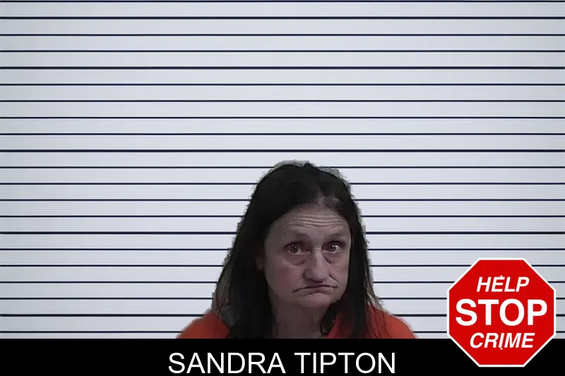 Sandra Tipton mugshot
