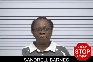 Sandrell Barnes mugshot