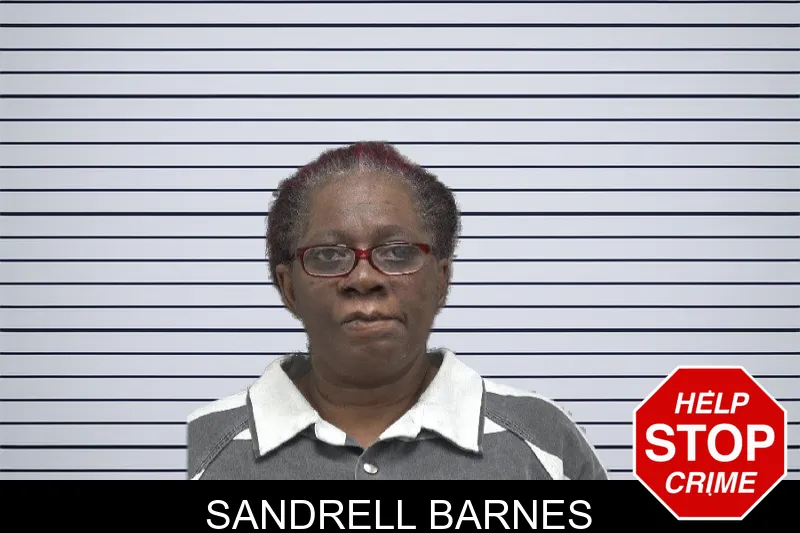 Sandrell Barnes mugshot