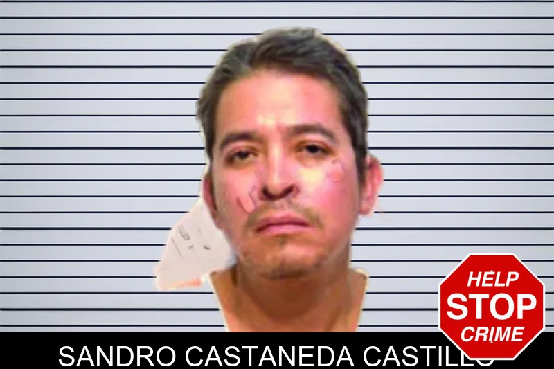 Sandro Castaneda Castillo mugshot