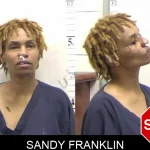 Sandy Franklin mugshot