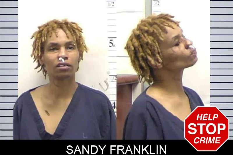 Sandy Franklin mugshot – Clarke County , Georgia Sandy Franklin mugshot