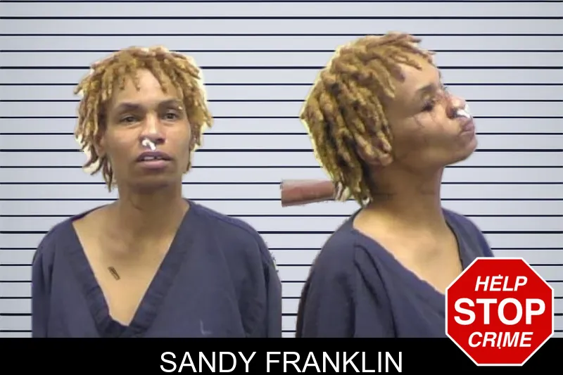 Sandy Franklin mugshot – Clarke County , Georgia Sandy Franklin mugshot