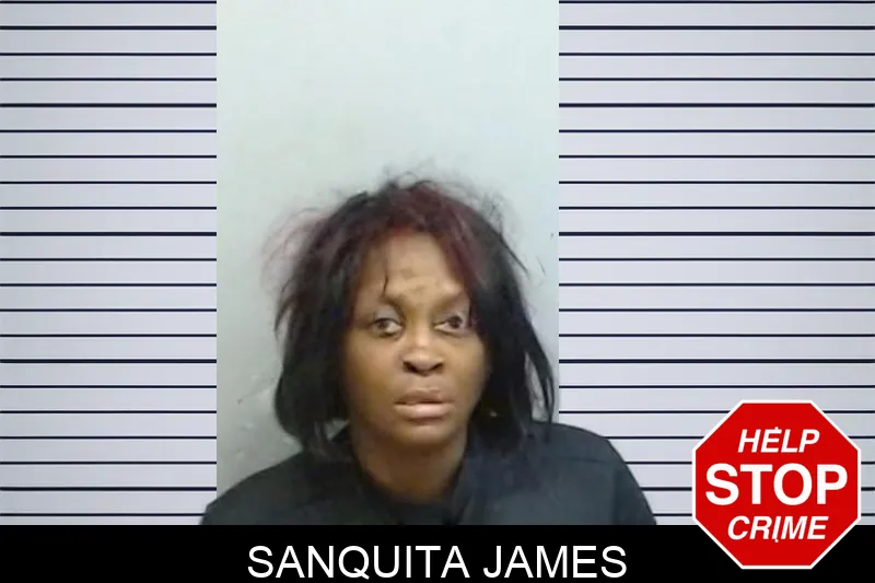 Sanquita James mugshot – Fulton County , Georgia Sanquita James mugshot