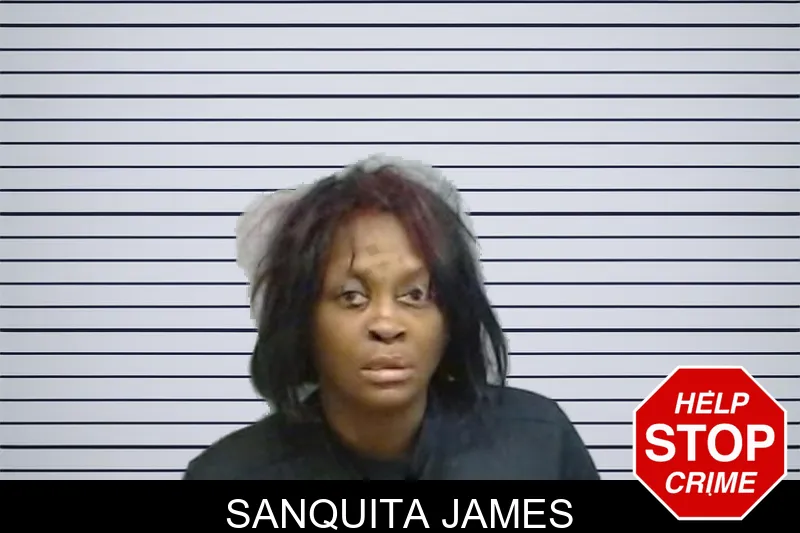 Sanquita James mugshot – Fulton County , Georgia Sanquita James mugshot