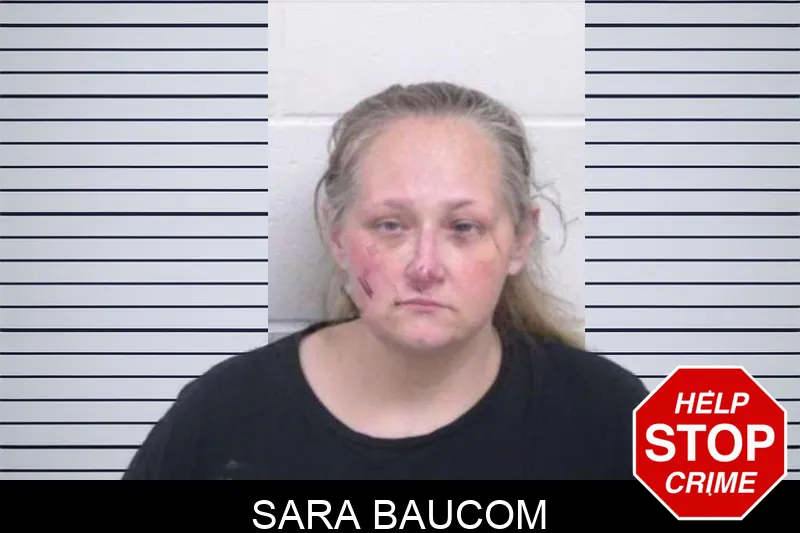 Sara Baucom mugshot