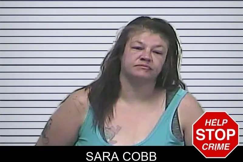 Sara Cobb mugshot
