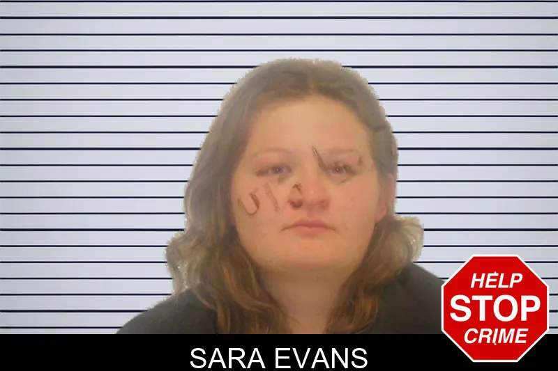 Sara Evans mugshot